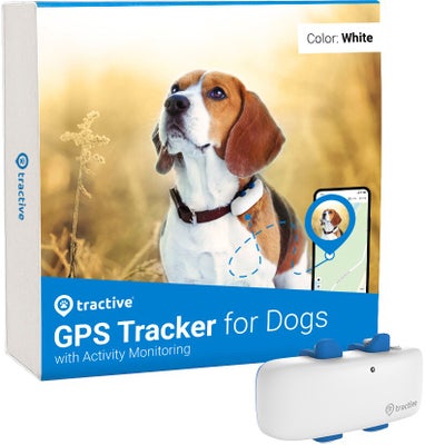 Tractive DOG LTE GPS tracker til hund