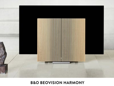 Brugt Beovision Harmony 77' m. Eg front