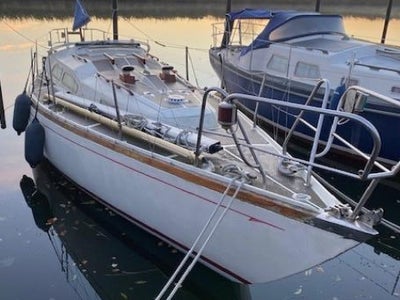 Bianca Commander 31