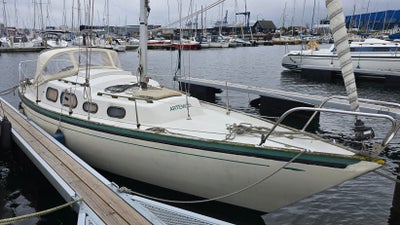 Artemisia - Shipman 28